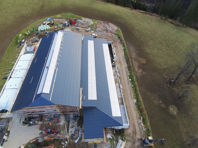 DCIM\100MEDIA\YUN00015.